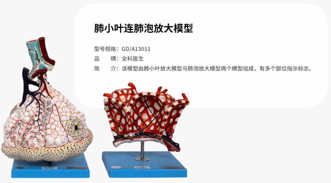 1768034558272864.png 1768034558272864.png